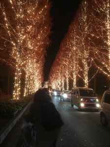 IMG_7733.JPG