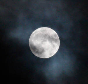IMG_7162.jpg