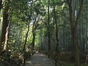 Img_9453 Img_9453