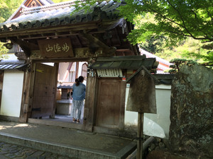 Img_9461 Img_9461