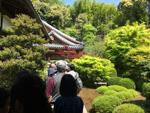 Img_9462 Img_9462