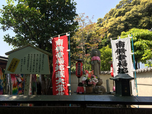 Img_9468 Img_9468