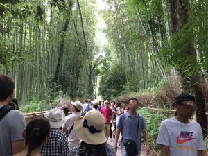 Img_0306 Img_0306