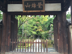 Img_0312 Img_0312