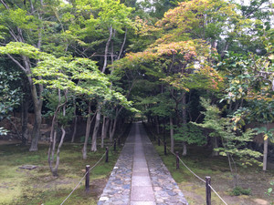 Img_0313_2 Img_0313_2