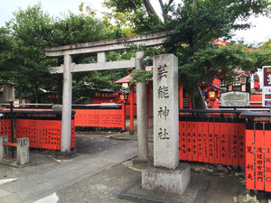 Img_0321 Img_0321