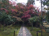 Img_1036 Img_1036