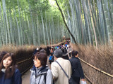 Img_1048_2 Img_1048_2