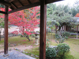 Img_1141 Img_1141
