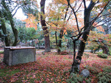 Img_1147 Img_1147