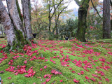 Img_1165_2 Img_1165_2