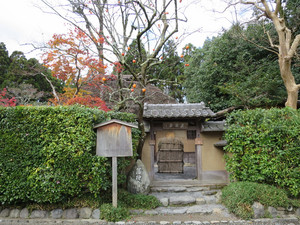 Img_1104 Img_1104