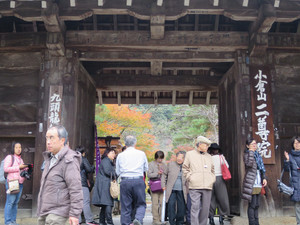 Img_1111 Img_1111