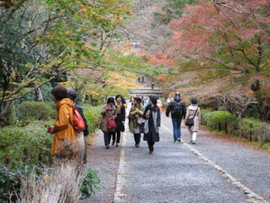 Img_1113 Img_1113
