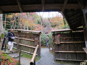 Img_1114 Img_1114