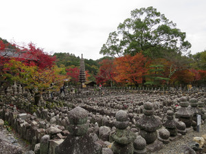 Img_1122 Img_1122