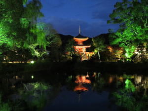 Img_1130 Img_1130