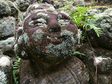 Img_1063 Img_1063