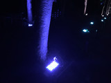 Img_3263 Img_3263