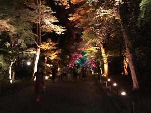 Img_3265 Img_3265