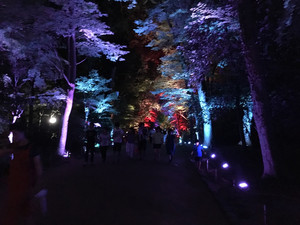 Img_3266 Img_3266